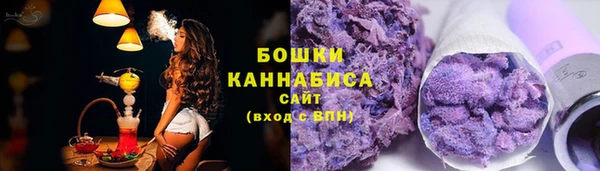 крисы Бронницы