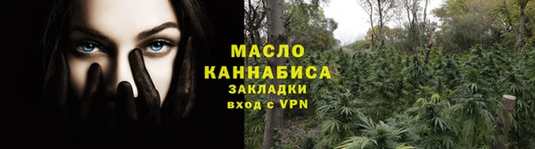 spice Богородицк