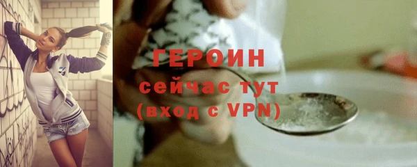 spice Богородицк