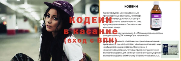 spice Богородицк