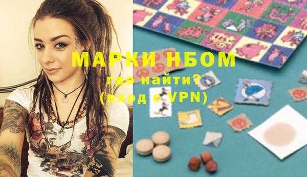 spice Богородицк